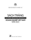 Doanh nghiệp Việt Nam năm 2023: Phần 1