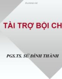 Bài giảng tài chính công : Tài trợ bội chi - PGS.TS. Sử Đình Thành