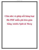 Chia nhỏ và ghép nối hàng loạt file PDF miễn phí đơn giản bằng Adolix Split & Merg