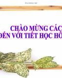 Bài giảng Toán 7 chương 2 bài 3 sách Chân trời sáng tạo: Làm tròn số và ước lượng kết quả