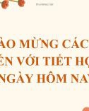 Bài giảng Toán 7 chương 8 bài 4 sách Chân trời sáng tạo: Đường vuông góc và đường xiên