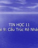 Bài giảng - Bài 9: Cấu Trúc Rẽ Nhánh