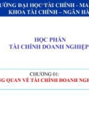 Bài giảng Tài chính doanh nghiệp 1: Chương 1 - Trường ĐH Tài chính - Marketing