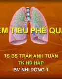 Bài giảng Viêm tiểu phế quản -TS.Bs Trần Anh Tuấn