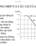 quá trình hình thành quy trình tất yếu cung cầu trong lao động p3