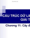 Chương 11: Cây đa phân