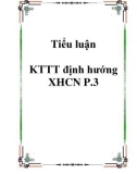 Tiểu luận KTTT định hướng XHCN P.3