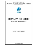 Khóa luận tốt nghiệp: Một số giải pháp marketing nhằm nâng cao hiệu quả sản xuất kinh doanh tại Công ty Cổ phần Đầu tư Và Khai khoáng Việt Nam