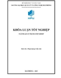 Khóa luận tốt nghiệp: Hoàn thiện chính sách marketing tại Ngân hàng thương mại cổ phần Việt Nam Thương Tín VietBank