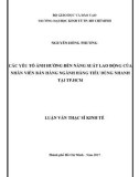 Luận văn Thạc sĩ Kinh tế: Các yếu tố ảnh hưởng đến năng suất lao động của nhân viên bán hàng ngành hàng tiêu dùng nhanh tại Tp. HCM