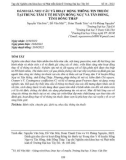 Đánh giá nhu cầu và hoạt động thông tin thuốc tại Trung tâm Y tế huyện Hồng Ngự và Tân Hồng, tỉnh Đồng Tháp