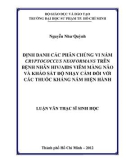 Luận văn Thạc sĩ Sinh học: Định danh các phân chủng vi nấm Cryptococcus neoformans trên bệnh nhân HIV AIDS viêm màng não và khảo sát độ nhạy cảm đối với các thuốc kháng nấm hiện hành