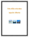 Tiêu điểm trên thảo nguyên Alberta