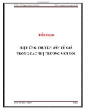 Tiểu luận: Hiệu ứng truyền dẫn tỷ giá trong các thị trường mới nổi