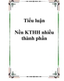 Tiểu luận Nền KTHH nhiều thành phần