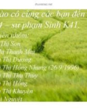 Thuyết trình nhóm: Thổ nhưỡng quyển