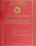 Khóa luận tốt nghiệp: Chiến lược thâm nhập thị trường của tập đoàn Tân Hiệp Phát với sản phẩm trà thảo mộc Dr Thanh