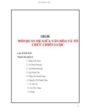 Tiểu luận: Mối quan hệ giữa văn hóa và tổ chức chiến lược