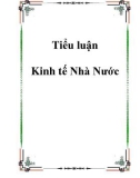 Tiểu luận Kinh tế Nhà Nước