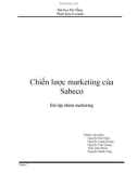 Đề tài Chiến lược marketing của Sabeco 