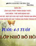 Giáo án điện tử lớp chồi - Thế giới động vật