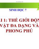 Bài giảng Sinh học 7 - Bài 1: Thế giới động vật đa dạng và phong phú