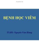 Bài giảng bệnh học viêm part 1