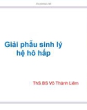 Bài giảng Giải phẫu sinh lý hệ hô hấp - ThS.BS. Võ Thành Liêm