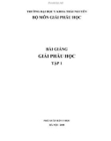 GIẢI PHẪU HỌC TẬP 1 - Chương 1