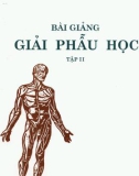 Tập 2 - Đại cương về giải phẫu học: Phần 1