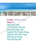 Đề tài tìm hiểu Sandy beach resort 