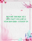 Bộ 8 đề thi học kì 2 môn Ngữ văn lớp 12 năm 2019-2020 có đáp án