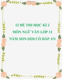 12 đề thi học kì 2 môn Ngữ văn lớp 11 năm 2019-2020 có đáp án