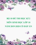 Bộ 10 đề thi học kì 2 môn Sinh học lớp 10 năm 2019-2020 có đáp án