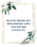 Bộ 10 đề thi học kì 2 môn Sinh học lớp 6 năm 2019-2020 (Có đáp án)