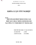 Khóa luận tốt nghiệp: Một số giải pháp nhằm nâng cao hiệu quả hoạt động kinh doanh tại Công ty TNHH Điện tử Thắng Bắc