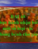 Bài giảng Công nghệ 7 bài 48: Thực hành nhận biết một số loại vác xin phòng bệnh cho gia cầm