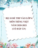 Bộ 10 đề thi vào lớp 6 môn Tiếng Việt năm 2020-2021