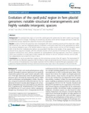 báo cáo khoa học: Evolution of the rpoB-psbZ region in fern plastid genomes: notable structural rearrangements and highly variable intergenic spacers