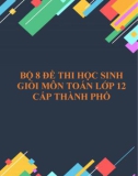 Bộ 8 đề thi học sinh giỏi môn Toán lớp 12 cấp thành phố