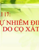 Bài giảng Vật lý 7 bài 17: Sự nhiễm điện do cọ xát