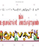 Bài giảng Vật lý 7 bài 6: Thực hành quan sát về ảnh của một vật tạo bởi gương phẳng