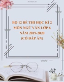 Bộ 12 đề thi học kì 2 môn Ngữ văn lớp 6 năm 2019-2020 (Có đáp án)