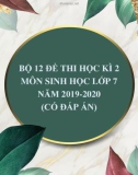 Bộ 12 đề thi học kì 2 môn Sinh học lớp 7 năm 2019-2020 (Có đáp án)