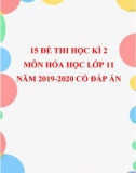 15 đề thi học kì 2 môn Hóa học lớp 11 năm 2019-2020 có đáp án