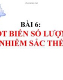 Bài giảng Sinh học 12 bài 6: Đột biến số lượng nhiễm sắc thể