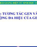 Bài giảng Sinh học 12 bài 10: Tương tác gen và tác động đa hiệu của gen