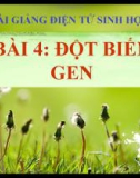 Bài giảng Sinh học 12 bài 4: Đột biến gen