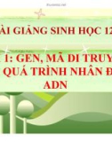 Bài giảng Sinh học 12 bài 1: Gen, mã di truyền và quá trình nhân đôi ADN