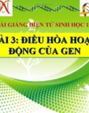 Bài giảng Sinh học 12 bài 3: Điều hoà hoạt động gen